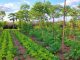 AI support For Agri