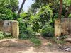 ସରକାରୀ କ୍ୱାଟର୍ସ ଏବେ ଚୋର, ନିଶାଡିଙ୍କ ଆଡ୍ଡାସ୍ଥଳ