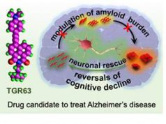 Drug To Halt Dementia
