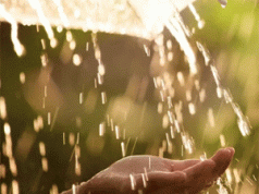 IMD Signals 3 Days Rainfall