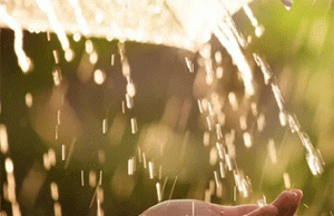 Moderate Rains Across State