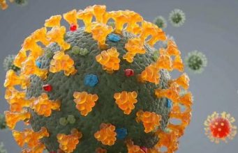 ଭୟଭୀତ ନ ହେବା ପାଇଁ ପରାମର୍ଶ