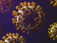 କରୋନା ମୁକ୍ତଙ୍କୁ ପରାମର୍ଶ