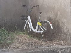 ମୋ ସାଇକେଲ ପାଇଁ ଆପ୍ ହିଁ ସମସ୍ୟା