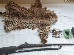 ଖୋରଧାରେ ସର୍ବାଧିକ ବନ୍ୟଜନ୍ତୁ ଶିକାର