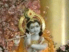 Janmashtami In Sri Mandir