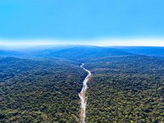 Eco Retreats Gains Currency