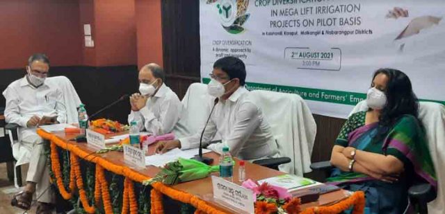 ଡିବିଟି ଇନ୍ପୁଟ ଓଡ଼ିଶା ପୋର୍ଟାଲର ଶୁଭାରମ୍ଭ