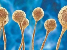 29 Died Due To Black Fungus