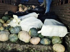 କଖାରୁ ଗାଡିରେ ଗଞ୍ଜେଇ ଚାଲାଣ