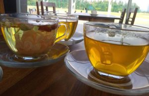 Azadi Amrut Chai Launched