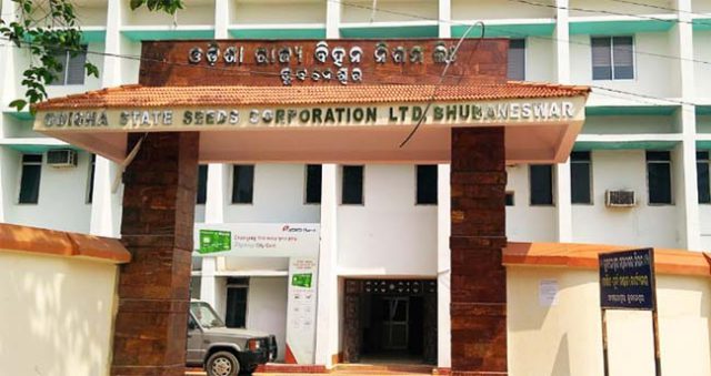 ବିହନ ନିଗମର ବାପଛେଉଣ୍ଡ ଅବସ୍ଥା