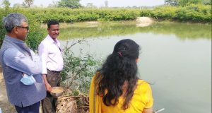 ଗ୍ରାମ୍ୟ ଅର୍ଥନୀତିକୁ ଆଗକୁ ନେବ ମାଛ ଓ କୁକୁଡା ଚାଷ