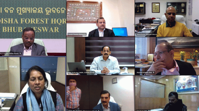 Odisha Forest Cover Rises