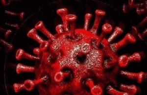 11,177 Covid Cases Recorded