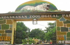 Lioness Ganga Died Of Snake Bite