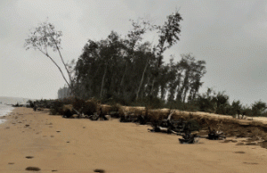 NCCR On Coast Erosion Care