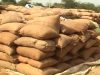 Paddy Procure Hits 80%