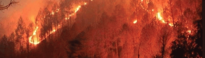 Odisha Tops Forest Fire