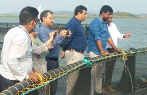 Cage Fish Culture Scripts Success