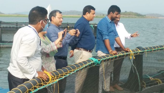 Cage Fish Culture Scripts Success