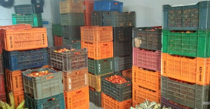 ଚାଷୀଙ୍କ ମୁହଁରେ ହସ ଫୁଟାଇଲା ଟମାଟୋ