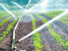 State Moots Micro Irrigation Plan