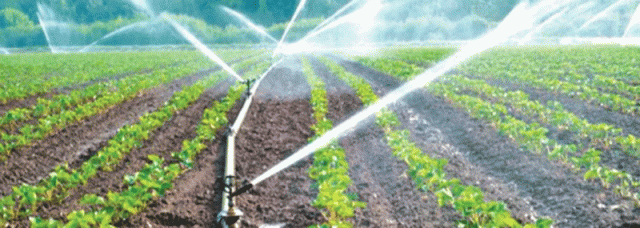 State Moots Micro Irrigation Plan