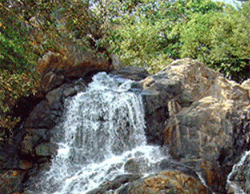 Aqua Assess Of Similipal