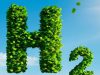 Plea For Green Hydrogen