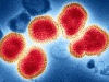 H3N2 Influenza Fear Grips