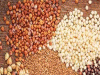 Centre Boosts Millet Use
