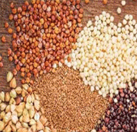 Global Meet On Millet