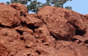 Tribals Demand Bauxite For Odisha Industry