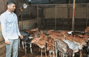 Pandian Turns Gomata Savior