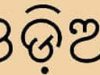 ଭାଷା ଆଇନ୍ ସଂପୂର୍ଣ୍ଣ କାର୍ଯ୍ୟକାରୀ କେବେ?