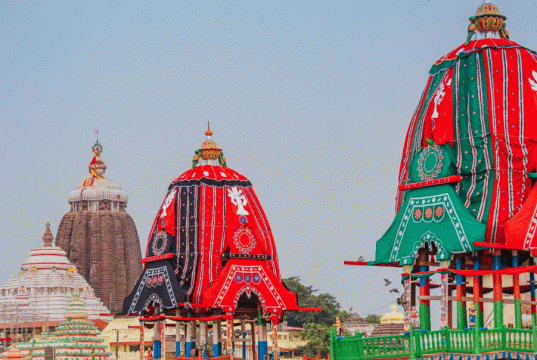 ମାଗଣା ଖାଦ୍ୟ ବାଣ୍ଟିବେ ୪୬୬ ସଂସ୍ଥା