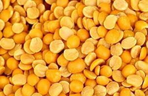 ଡାଲିରେ ଆତ୍ମନିର୍ଭରଶୀଳ ହେଉନି ଓଡିଶା