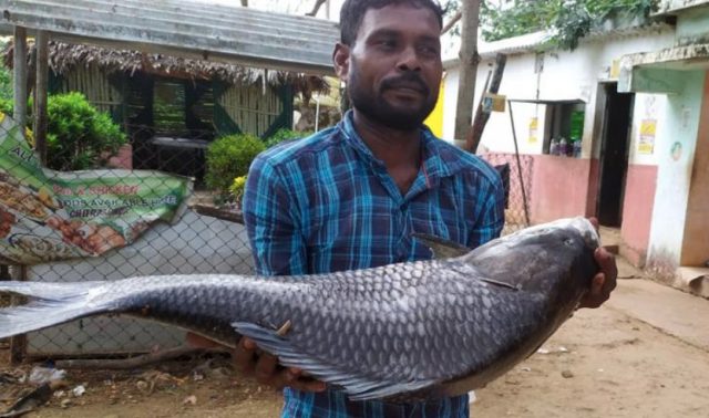 FISHFED Empowers Fishermen