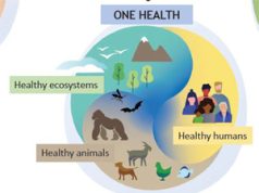 One Health Program Soon