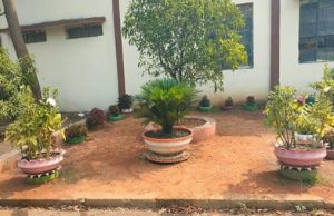 MCL On Green Drive