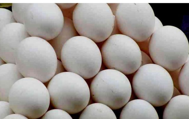 ମୁଣ୍ଡପିଛା ଅଣ୍ଡା ଉତ୍ପାଦନ ୮୦ଟି