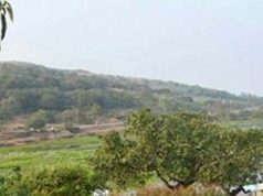 ନୀଳାଦ୍ରୀବିହାର ପାହାଡ ସତ୍ତା ହରାଇବ
