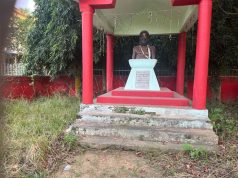 ନିଜ କଲେଜରେ ଅଲୋଡା ଗୋପବନ୍ଧୁ