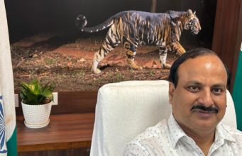 Big Cat Census Every Year