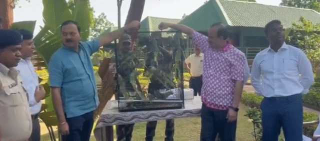 61 Parakeets Set Free