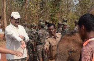 Elephant Census Begins