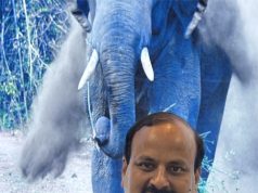 Elephant Population On Rise