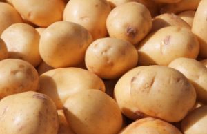 Potato Slur On Government