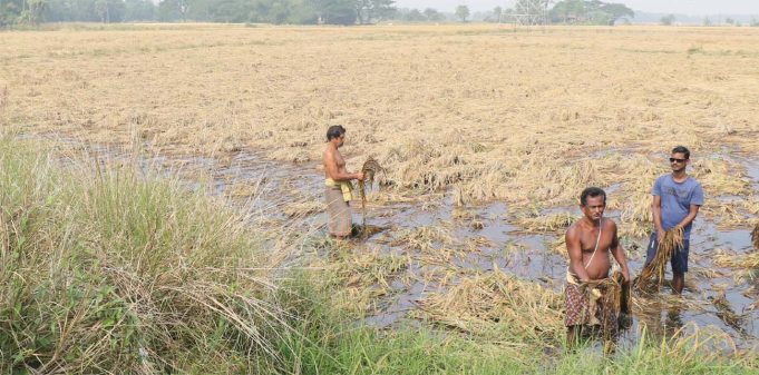 ତିନି ଦିନ ବଢିଲା ସୂଚନା ପ୍ରଦାନ ଅବଧି